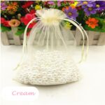 Cream Organza Bag